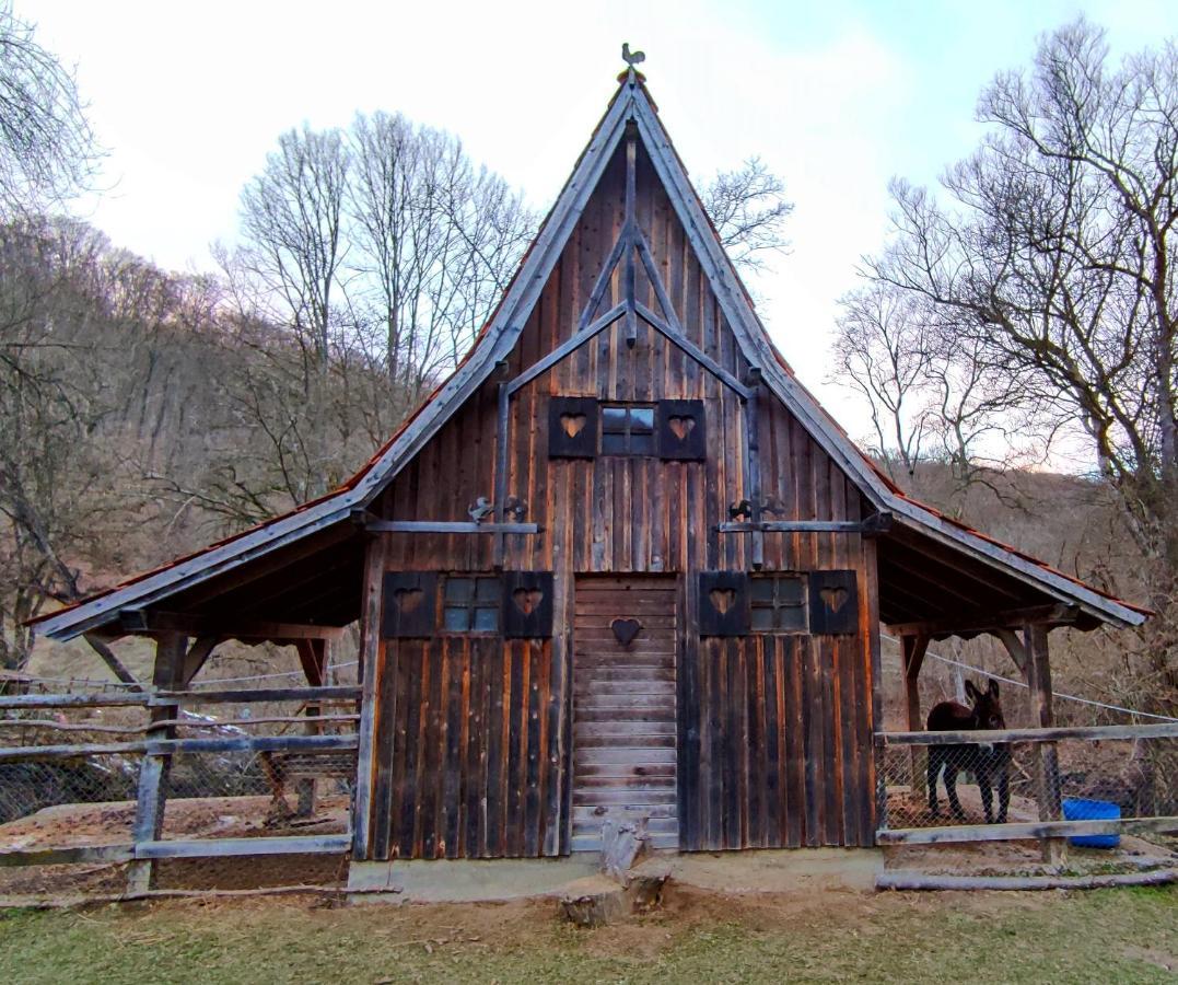 Hanul Din Padure Daneş Exterior foto