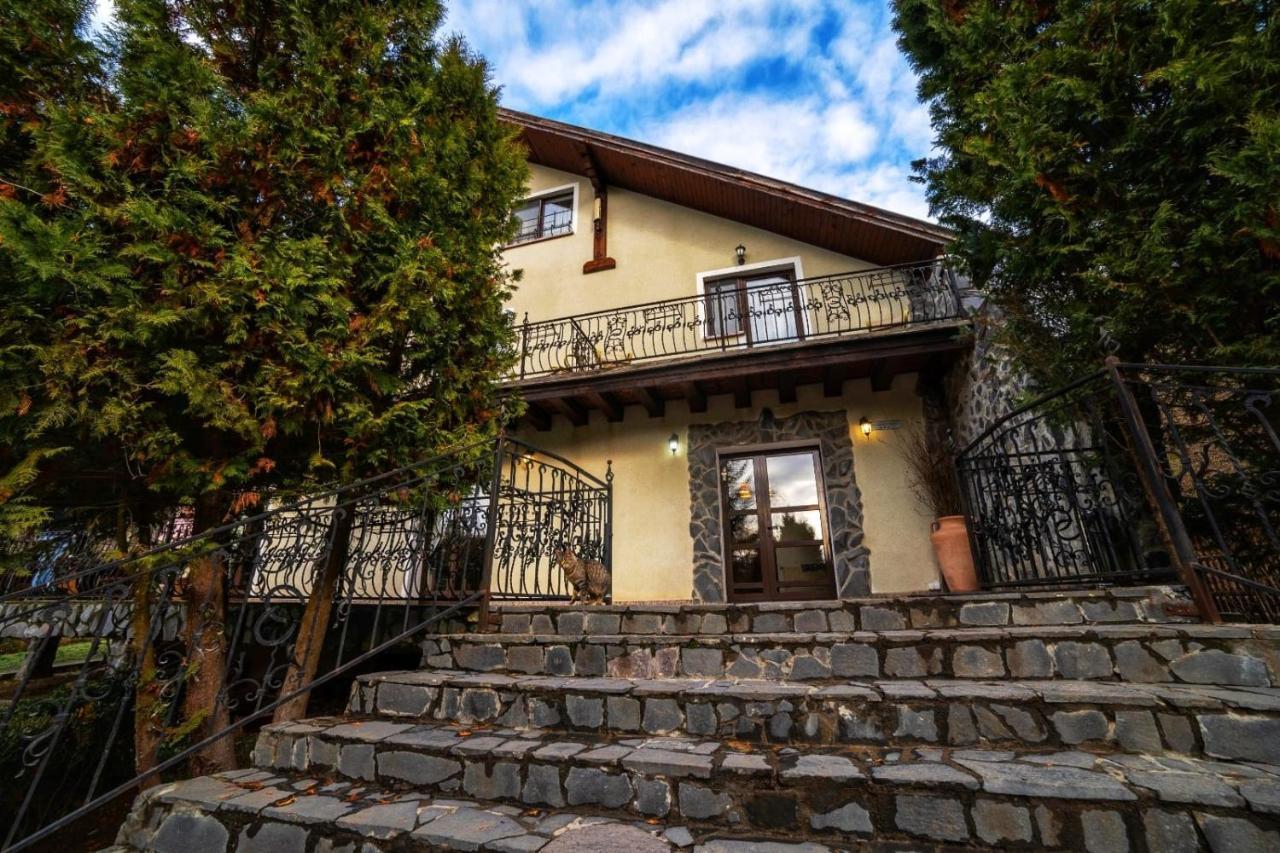 Hanul Din Padure Daneş Exterior foto